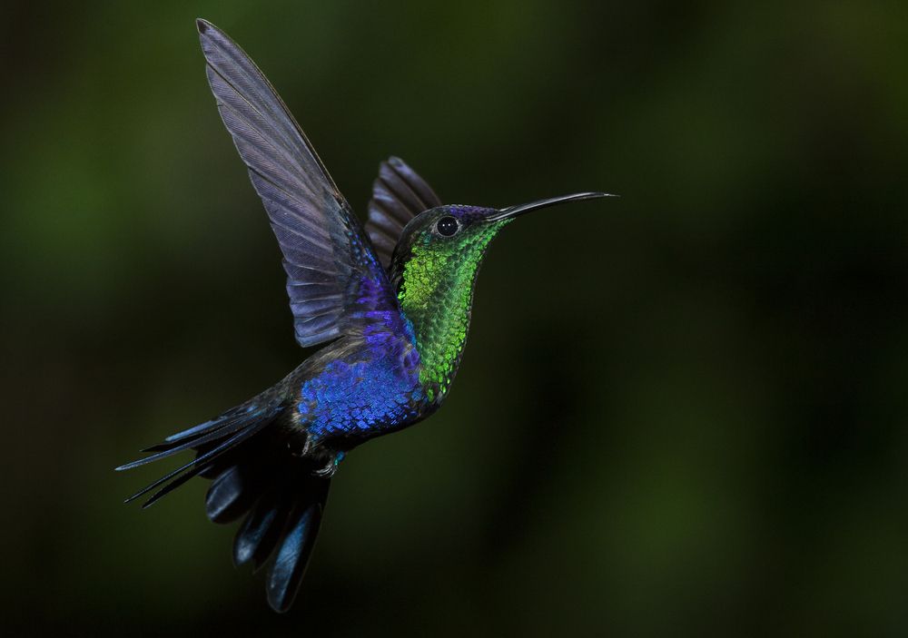 Фотография автора Варвара Дронова