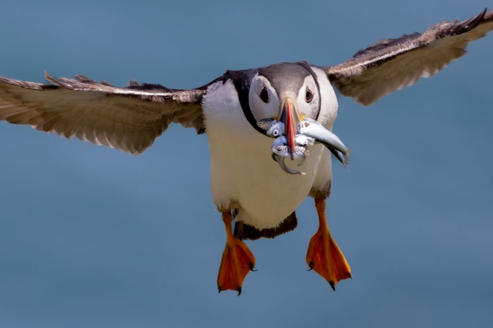 Photograph by Ellen Lichtenheldt