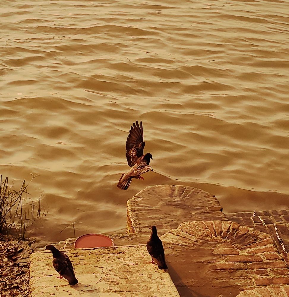 Фотография автора Debdutt Saha