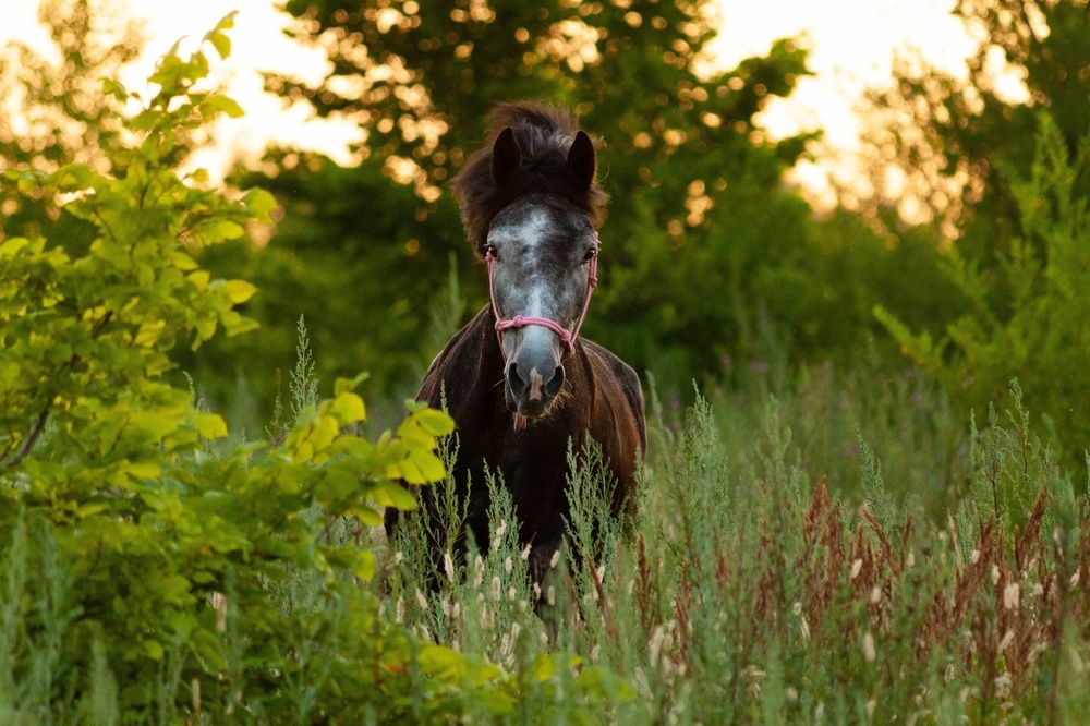 Photograph by Lubov Kirsanova