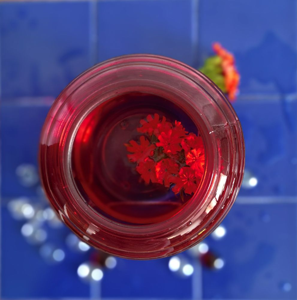 Photograph by Olga Kot