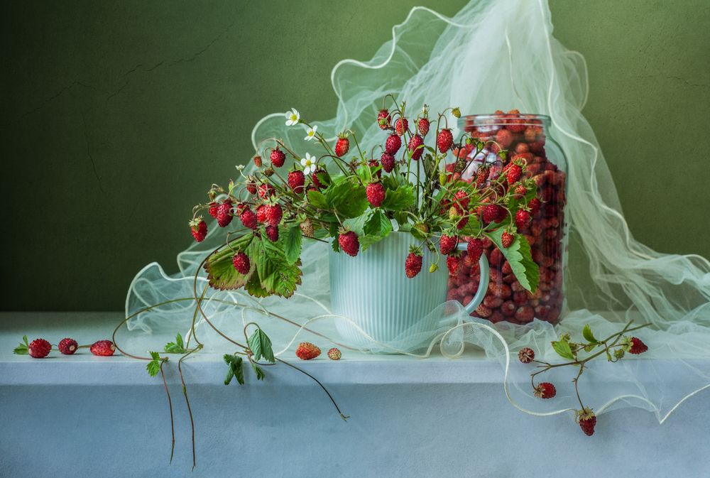 Photograph by Юлия Яремко