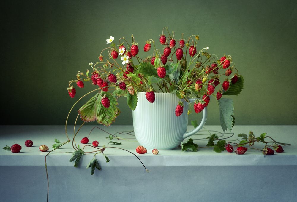 Photograph by Юлия Яремко