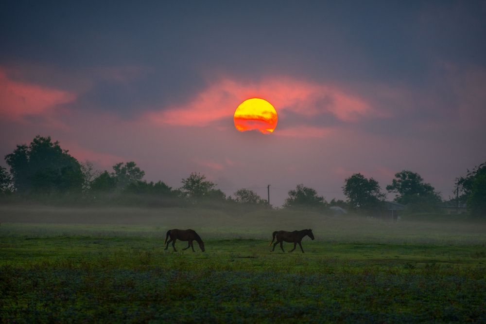 Photograph by Saba Gloveli