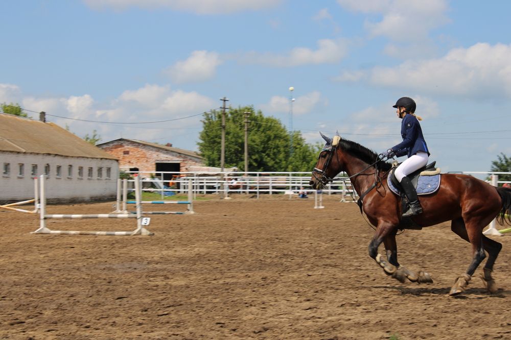 Photograph by Елена Коробченко