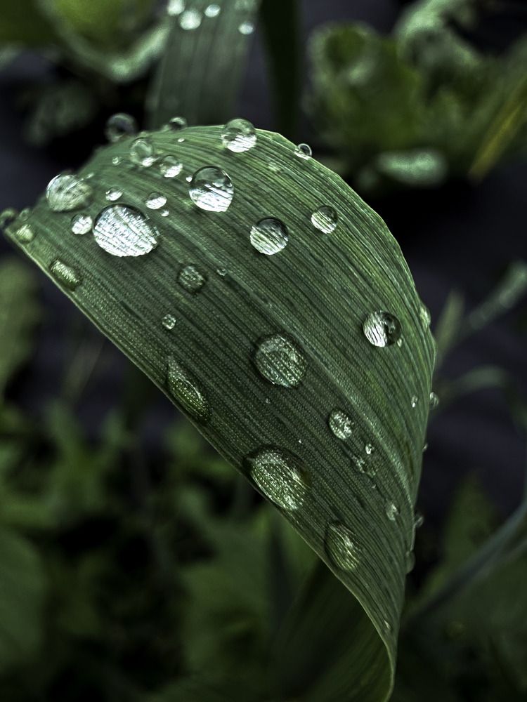 Фотография автора Татьяна Буянова