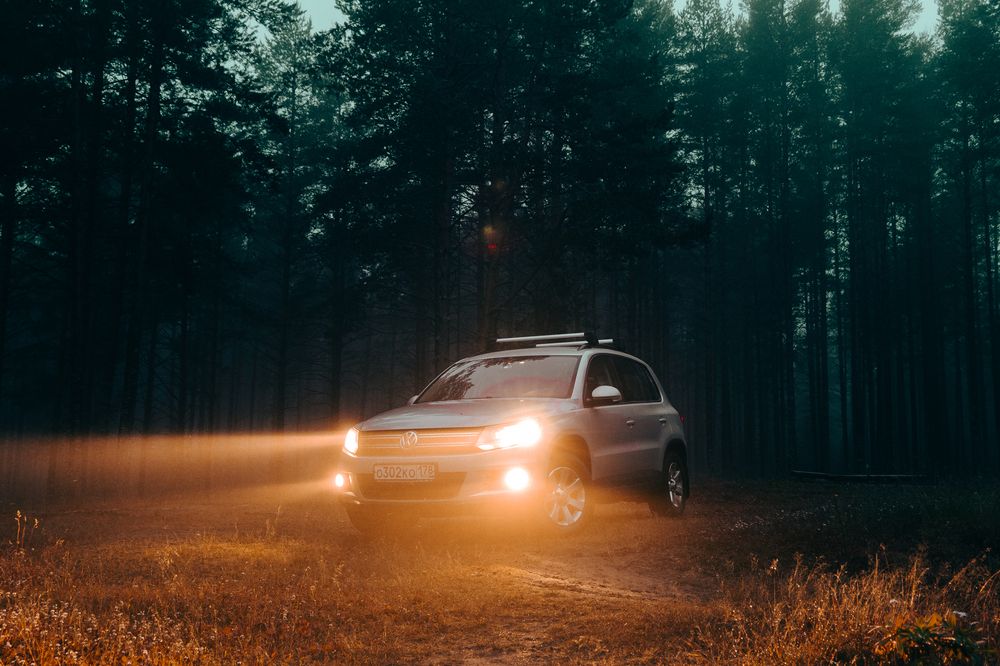 Photograph by Николай Рымар