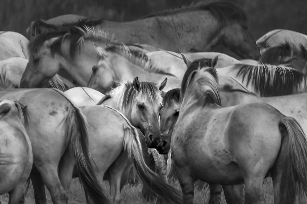 Фотография автора Валерия Трейтяк