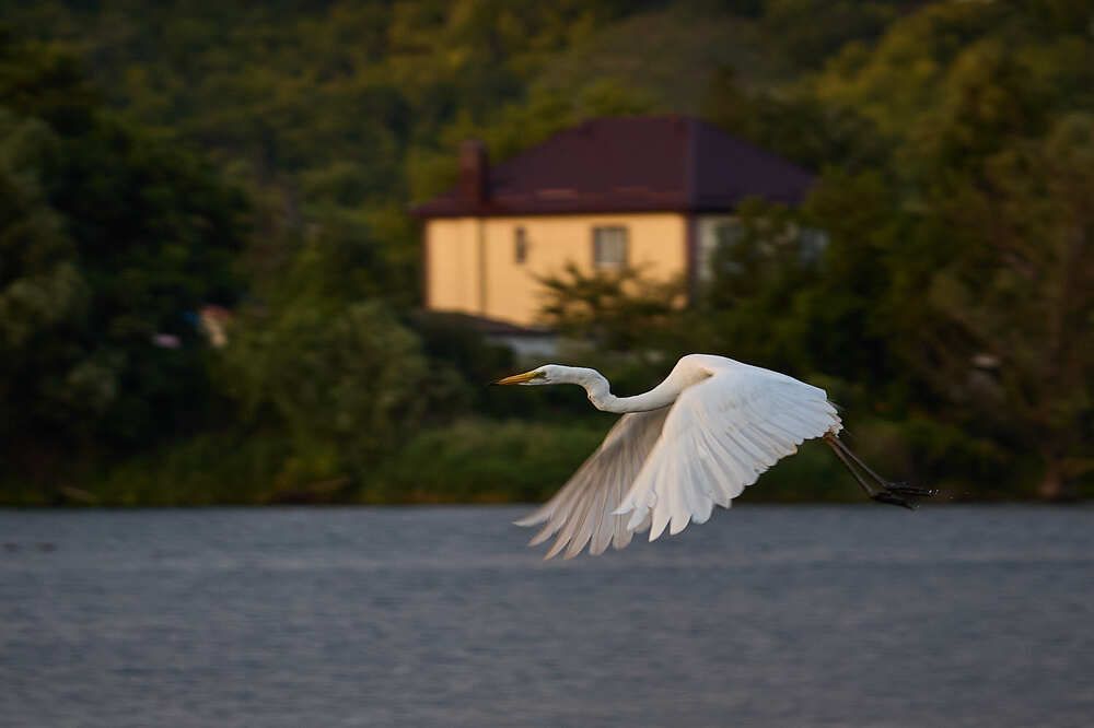 Photograph by Сергей Фадин