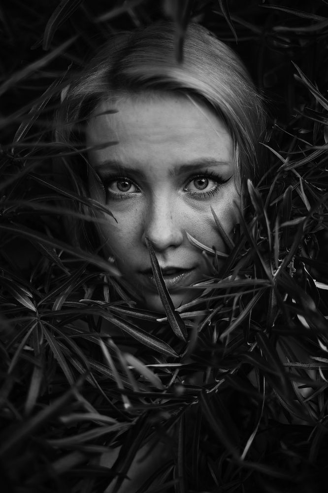 Photograph by Артем Артемьев