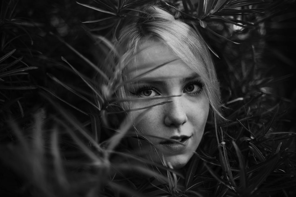 Photograph by Артем Артемьев