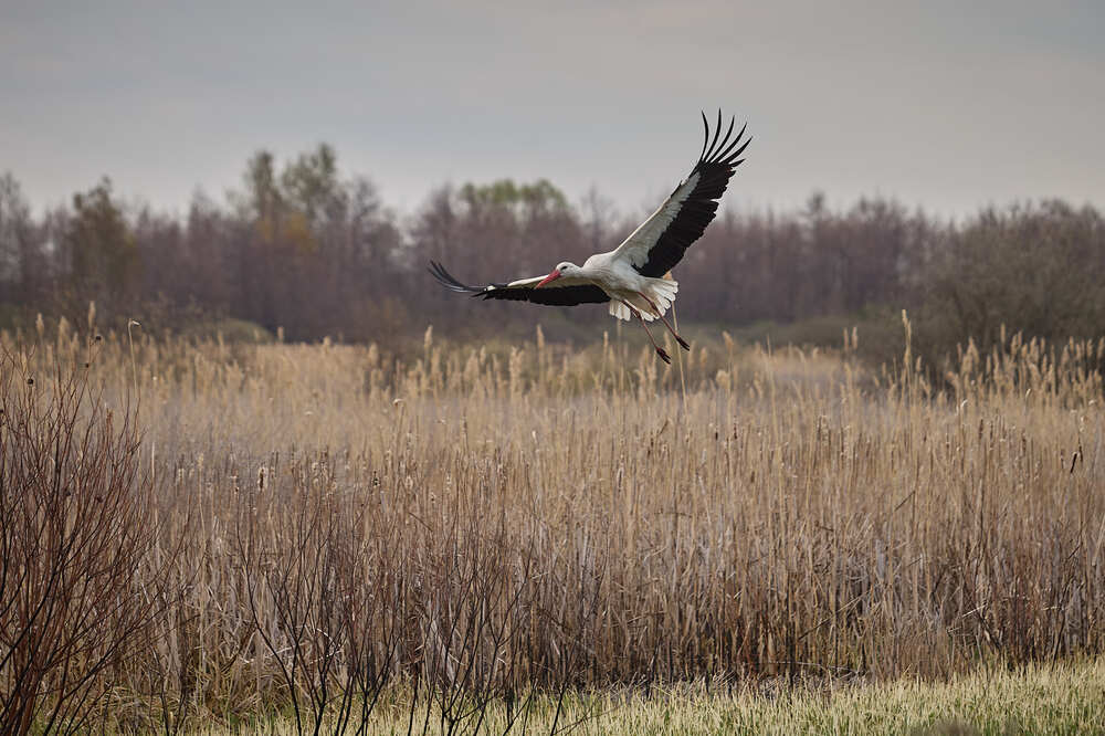 Photograph by Сергей Фадин