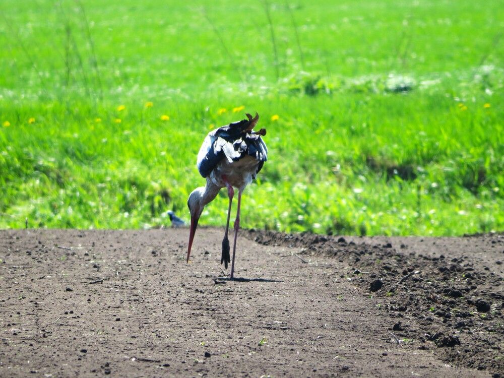 Photograph by Лариса Басова