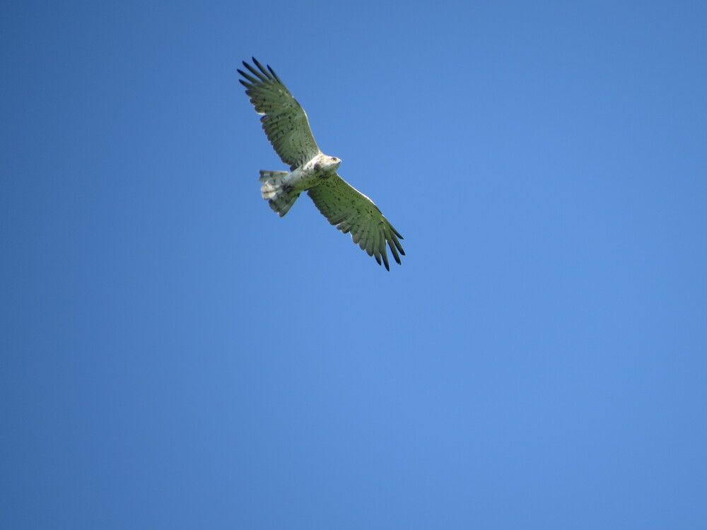 Photograph by Лариса Басова