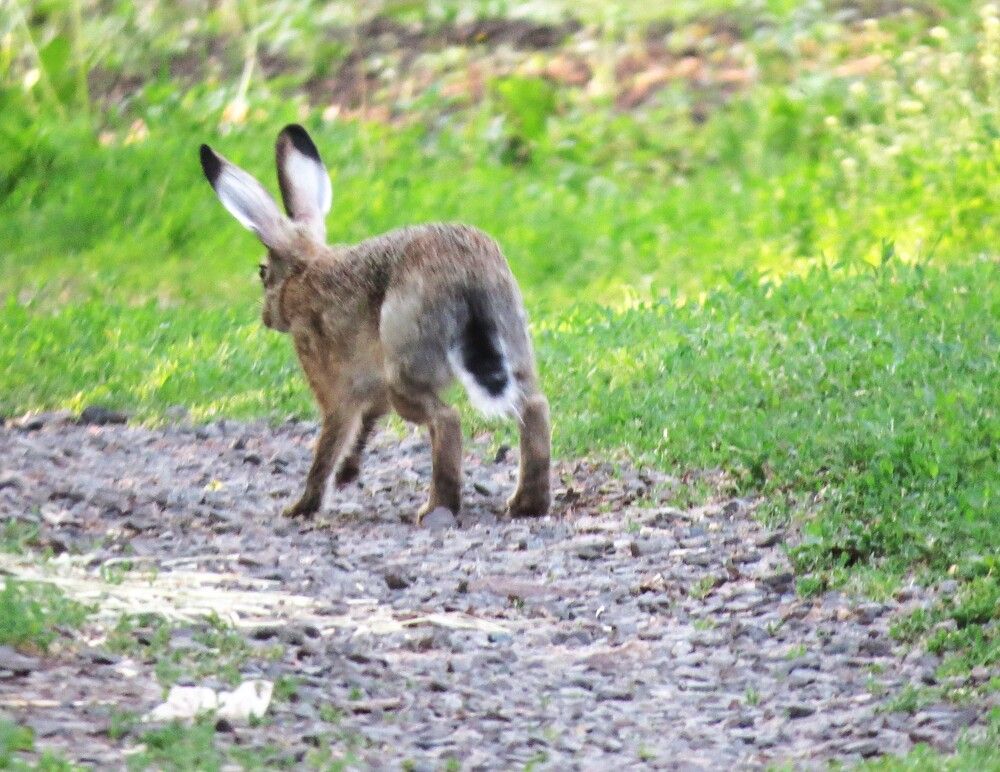 Photograph by Лариса Басова