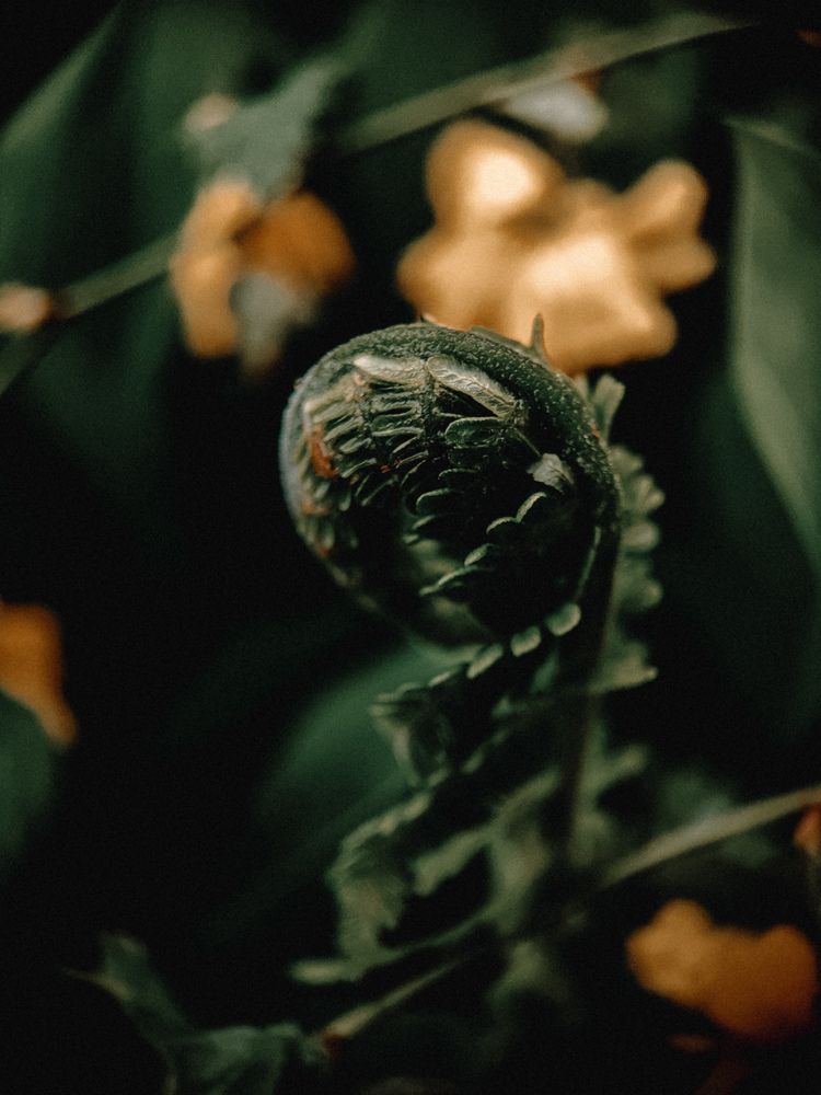 Photograph by Алиса Исаева