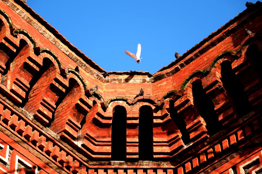 Photograph by Isa Demirhan