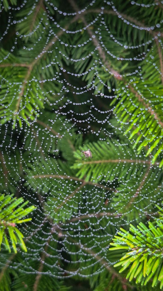 Photograph by Tatiana Kirillova