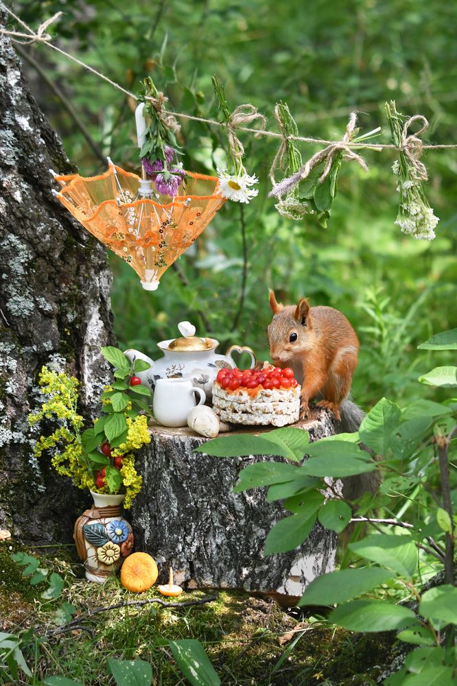 Летний ягодный десерт для именинницы