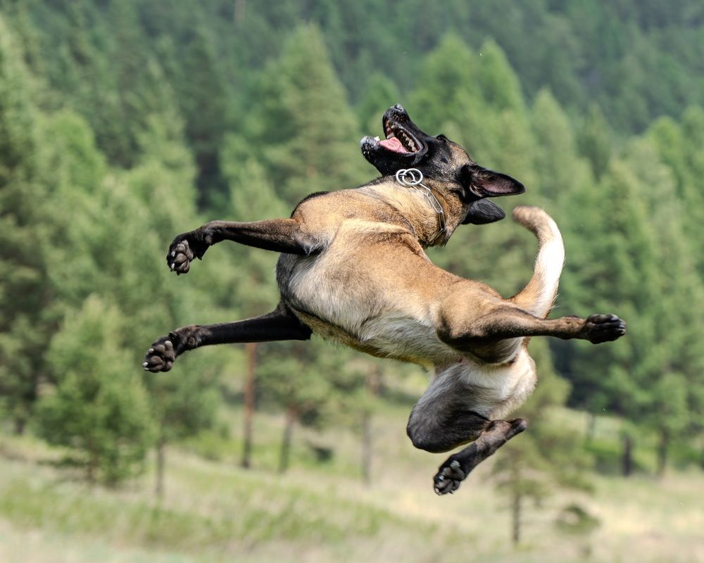 Photograph by Сергей Жиркевич