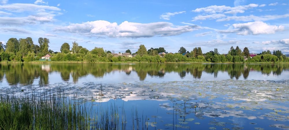 Photograph by Светлана Васильева