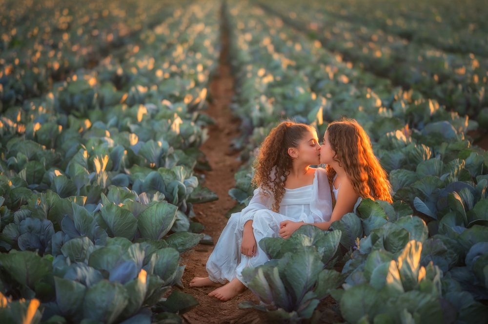 Photograph by Michal Abend