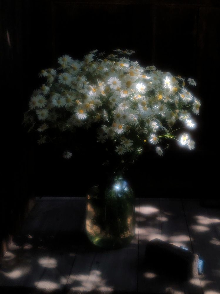 Photograph by Екатерина Брехова