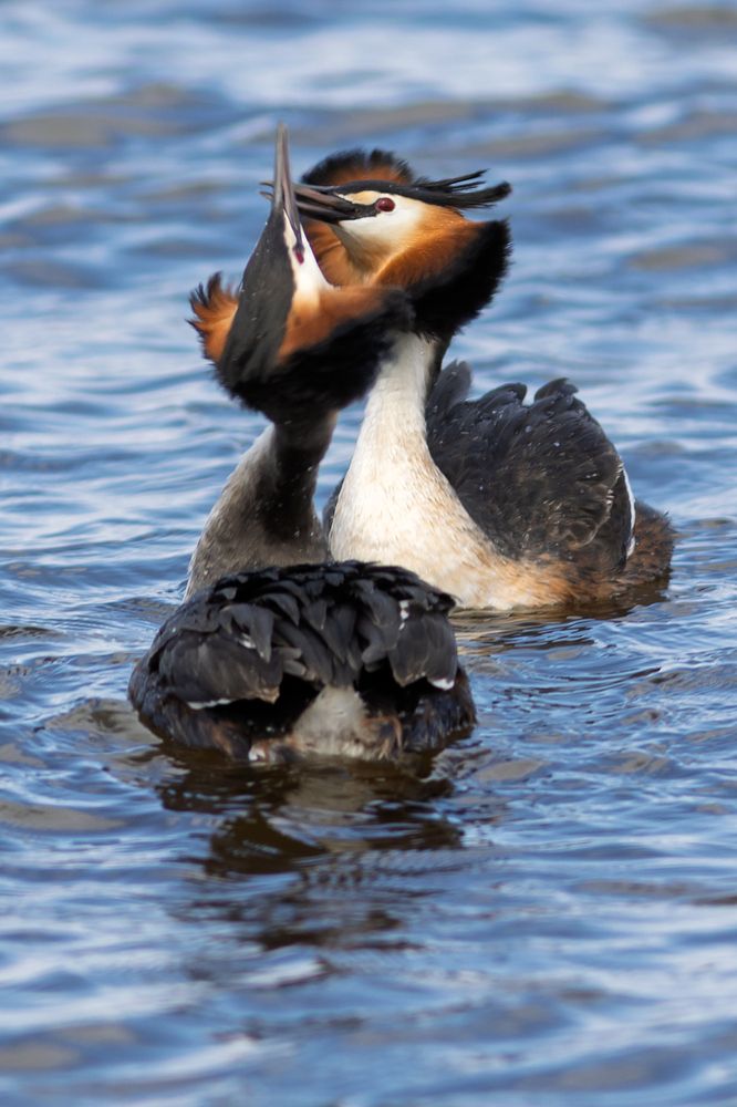 Фотография автора Леонид Никитин