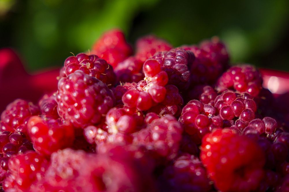 Photograph by Евгений-Кристина Тимошкины