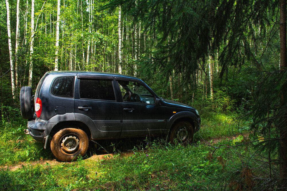 Photograph by Людмила Баймухаметова