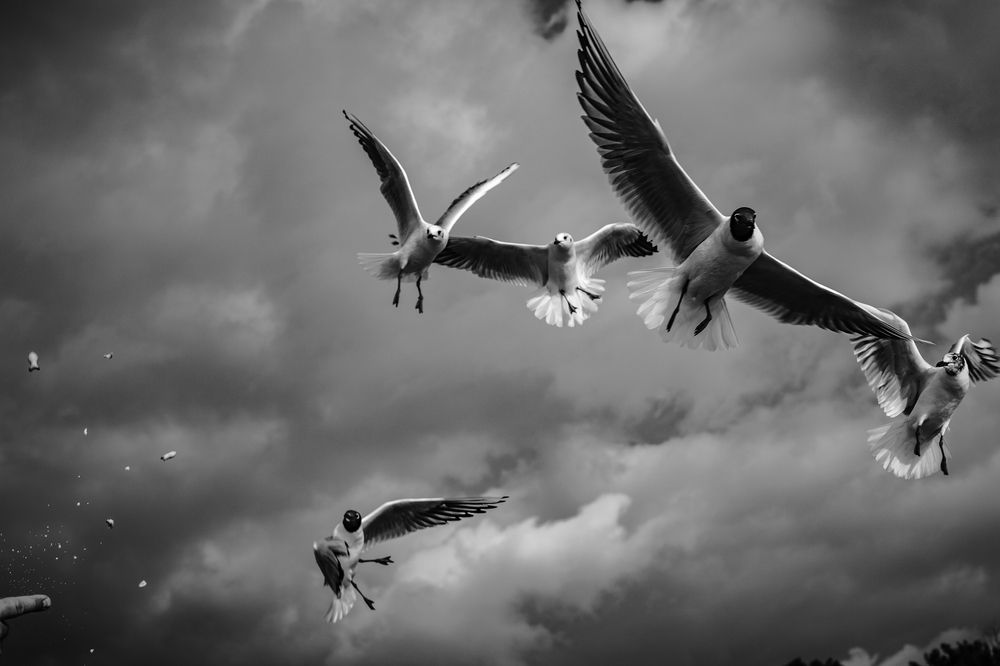 Фотография автора Михаил Лупина