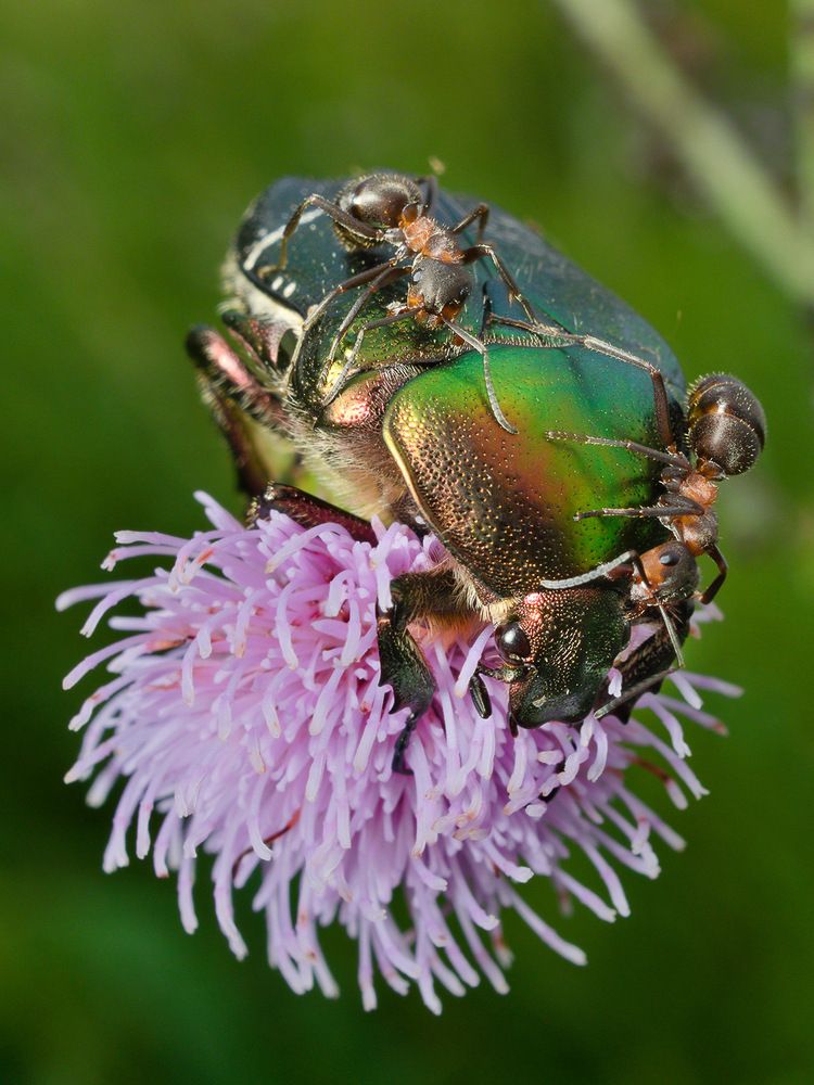 Photograph by Алексей Поляков