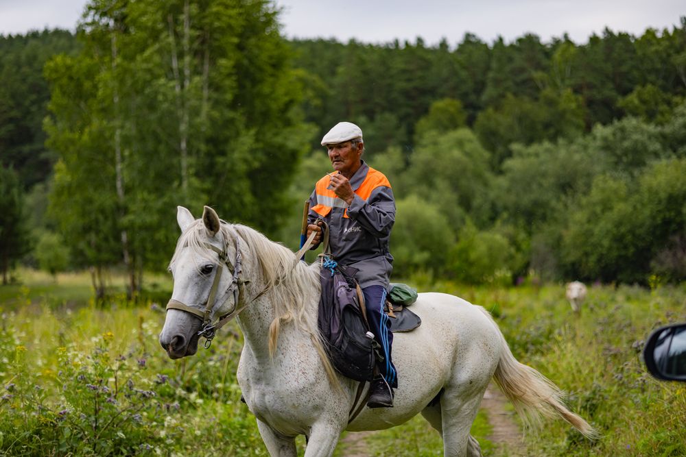 Фотография автора Максим Фролов