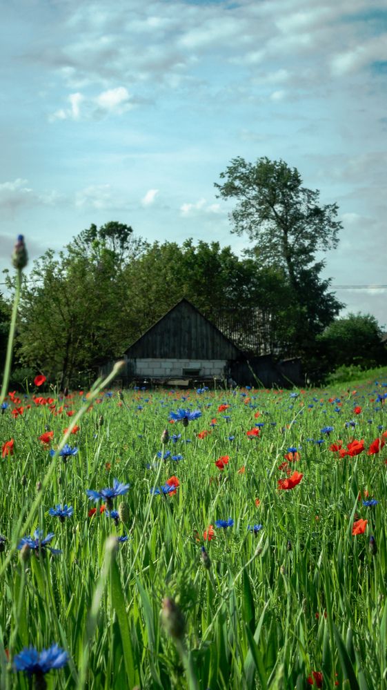 Фотография автора Геннадий Ломеко