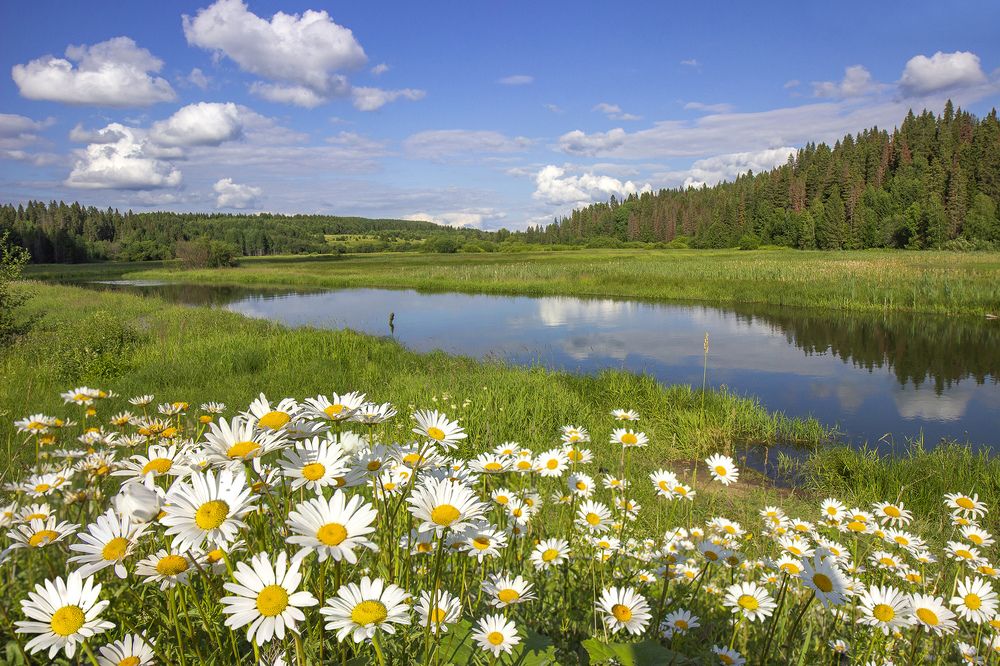 Photograph by Андрей Дудник