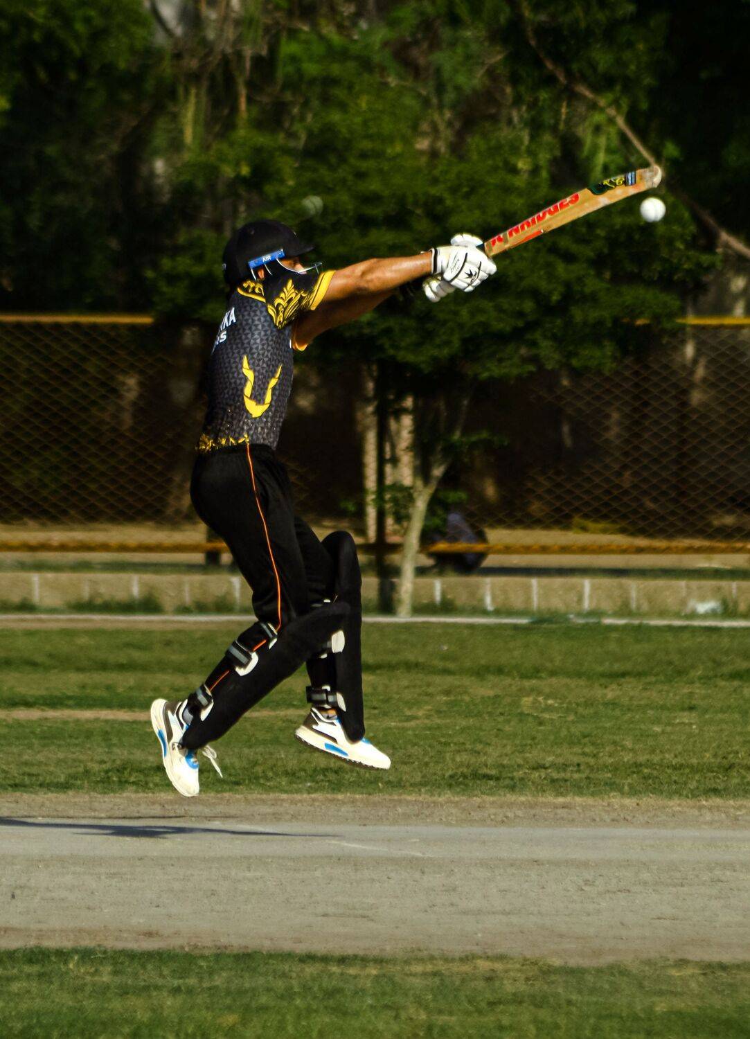 Photo #12368685