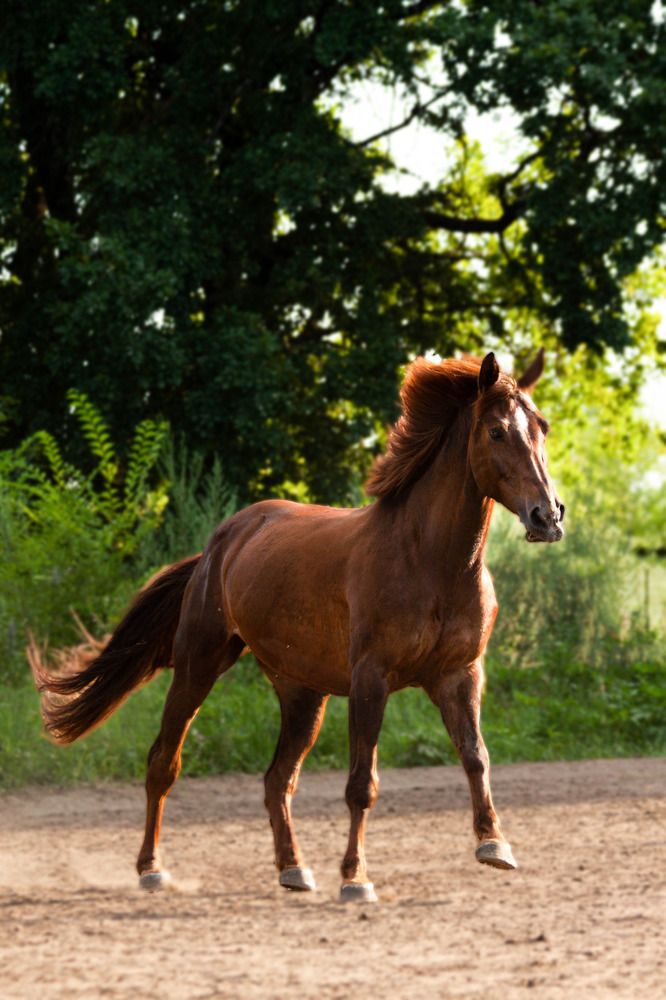 Photograph by Lubov Kirsanova