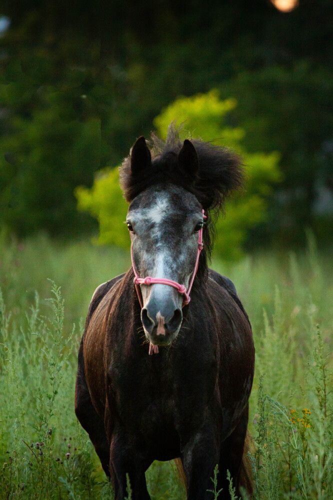Photograph by Lubov Kirsanova