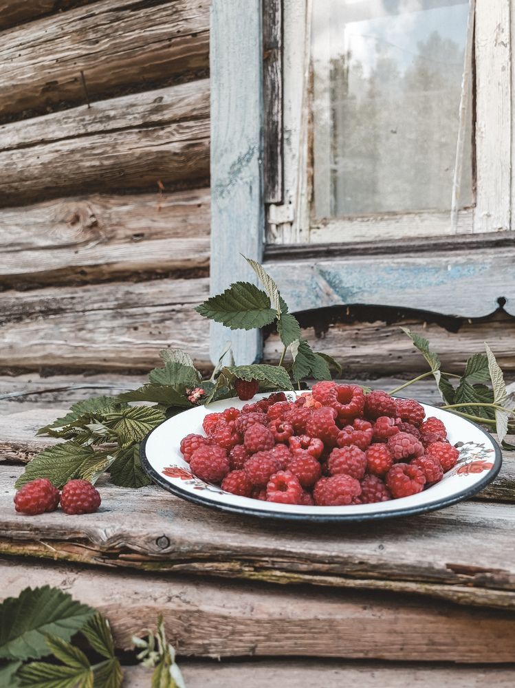 Фотография автора Ирина Романовская