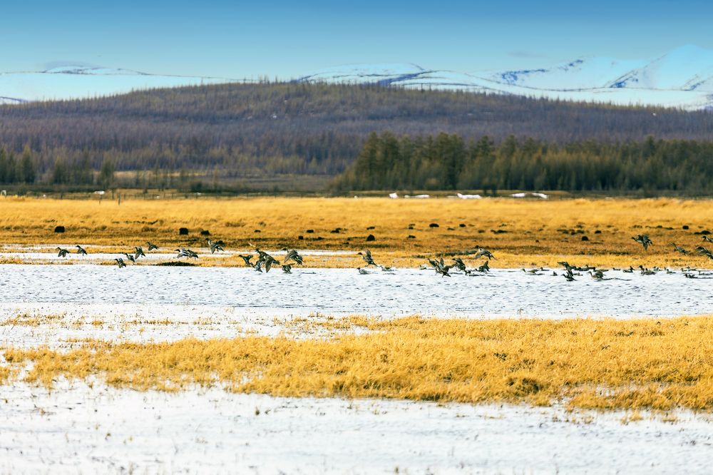 Только что прилетели.