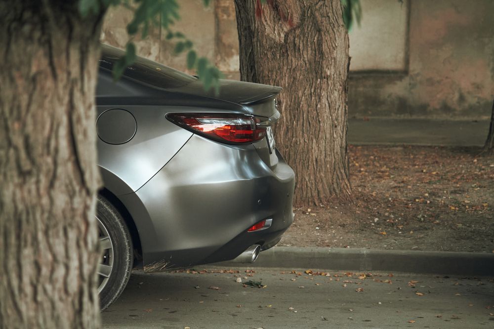 Photograph by Екатерина Иванова