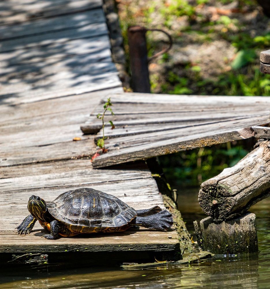 Photograph by Adelina Vasileva