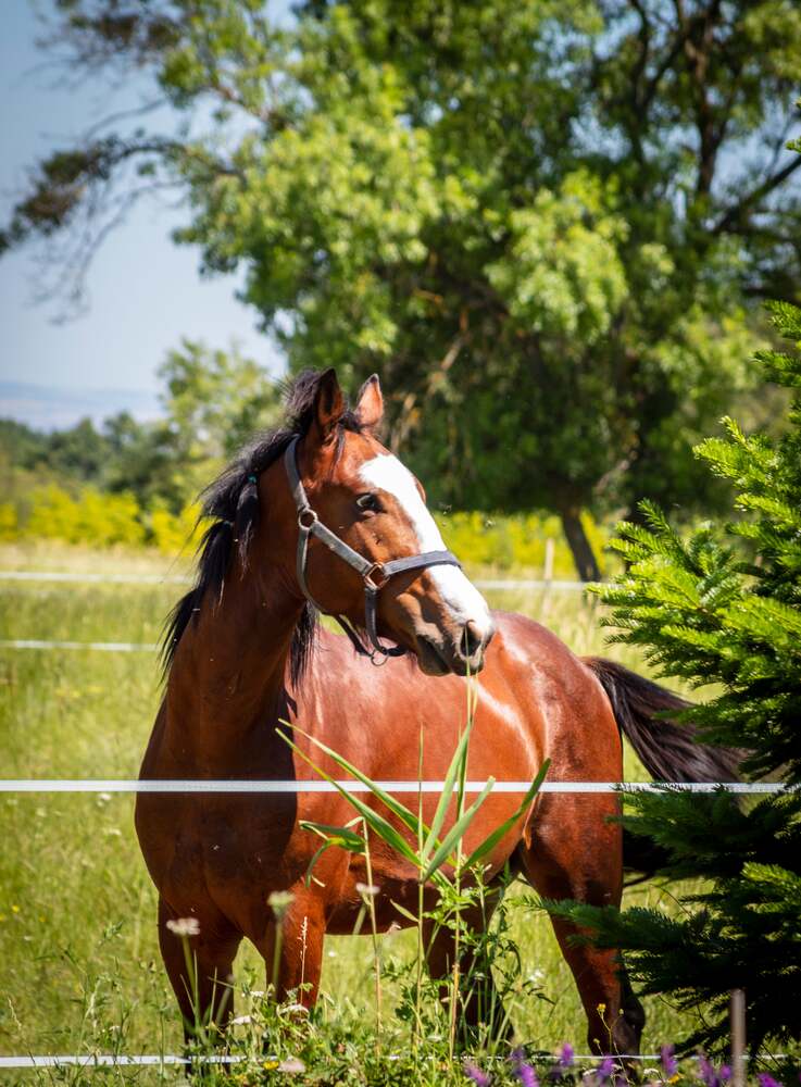 Photograph by Adelina Vasileva
