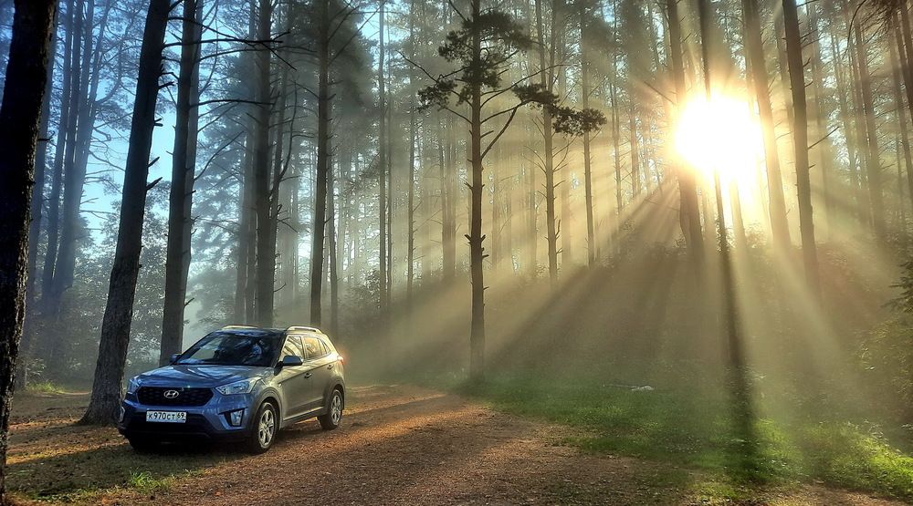 Photograph by Александр Лазебник