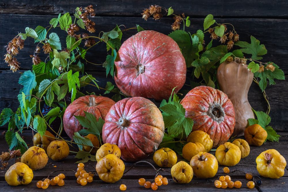 Photograph by Татьяна