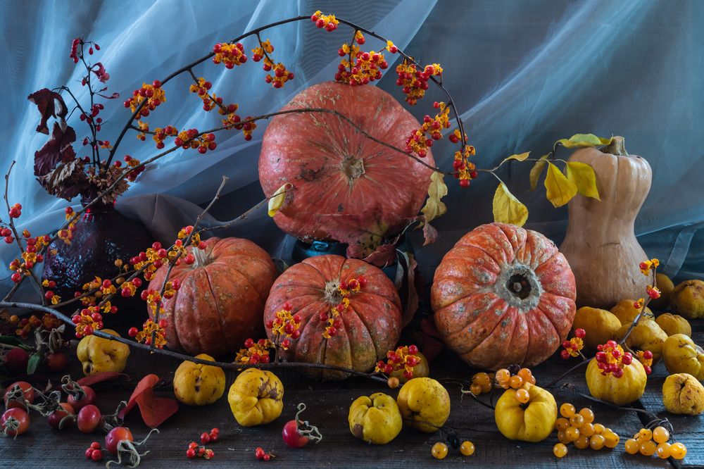 Photograph by Татьяна