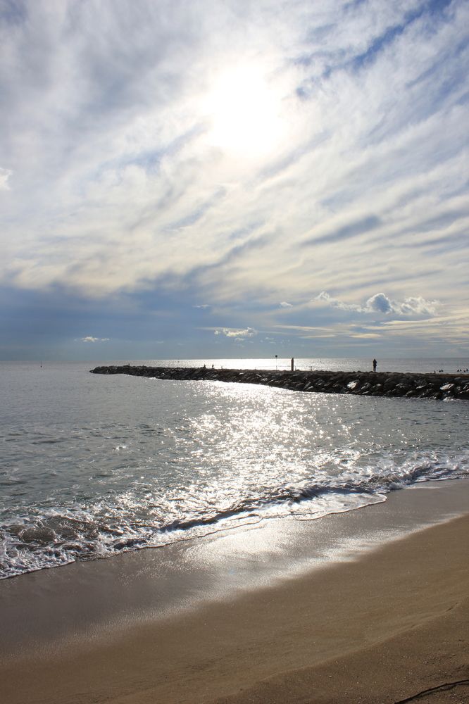 Фотография автора Василиса Новикова