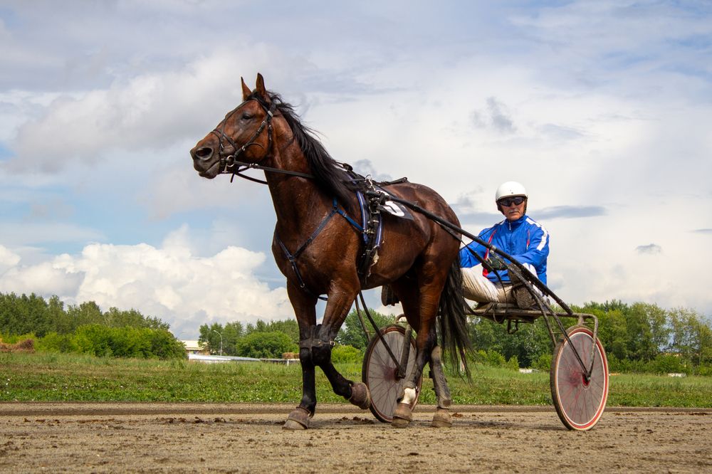 Photograph by Юлия Ковешникова