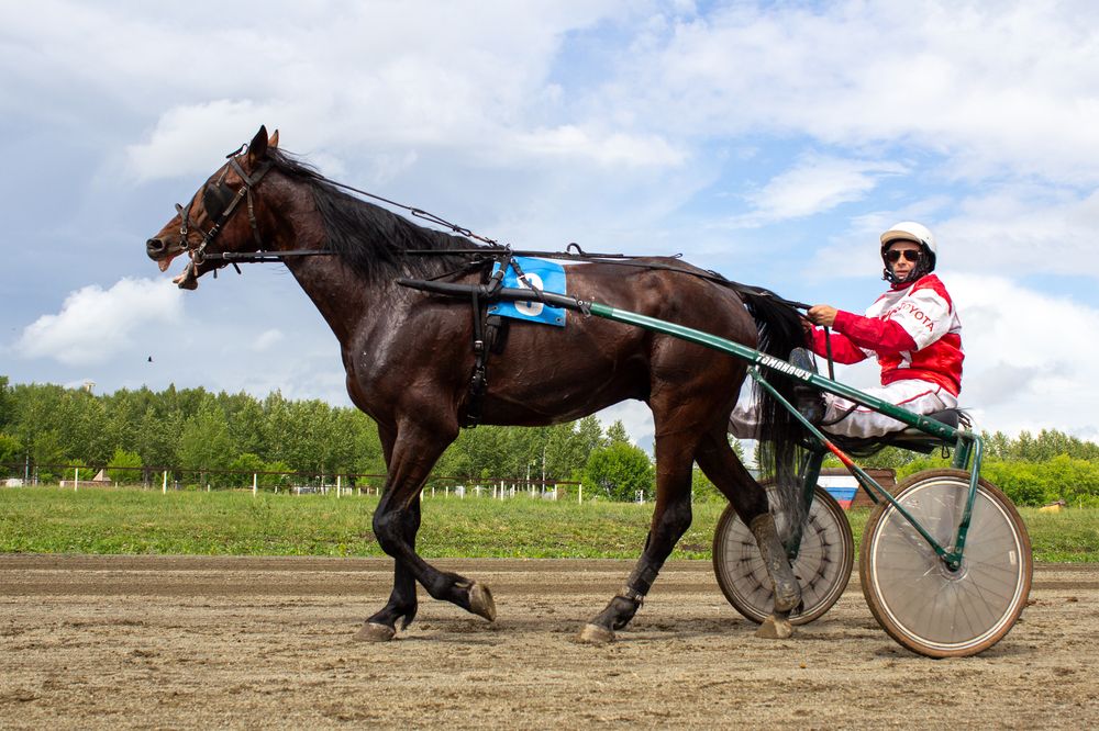 Photograph by Юлия Ковешникова