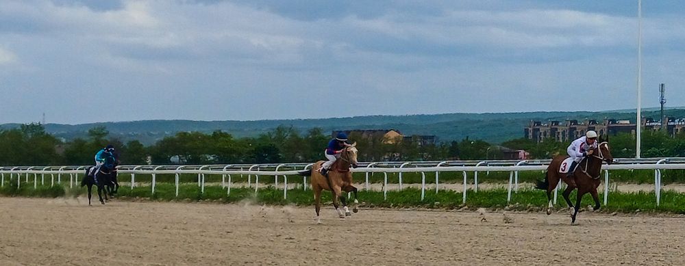 Фотография автора Valerya Vasileva